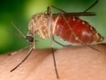 West Nile Virus found in Toronto mosquitoes