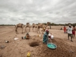  Somalia: UN calls for urgent action to support drought-hit communities