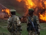  Kenya stages largest-ever ivory destruction as UN reaffirms â€˜zero toleranceâ€™ on poaching