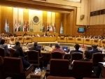 In Cairo, UN Security Council consults with Arab League on regional, global issues