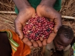 UN agencies provide seeds and food to break hunger cycle in Central African Republic 