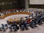 Security Council extends mandates of UN peacekeeping operations in Darfur, Golan and Mali