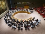 Lebanon: Security Council calls for presidential and parliamentary polls by next May