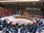 In unanimous vote, Security Council extends mandate of UN-OPCW body on chemical weapons use in Syria