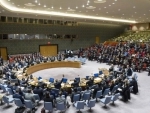 Security Council fails to adopt resolution calling for ceasefire in Aleppo