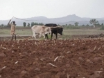 Ethiopia will need urgent global support in race to prepare for main agricultural season â€“ UN