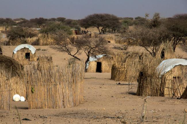 Ban hails EU donation to African-led Lake Chad Basin task force combating Boko Haram