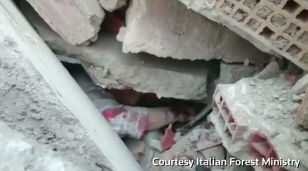 Italy earthquake: Death toll touches 247