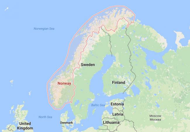 More than 300 reindeer killed in lightning in Norway