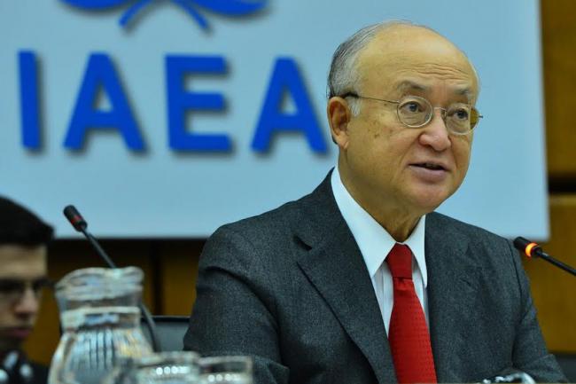 UN atomic energy chief prioritizes verification, monitoring in Iran for 2016