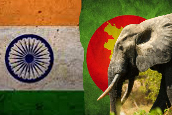 Elephant that travelled 1600 km from India to Bangladesh, dies