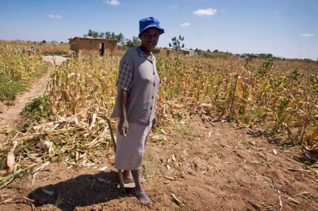 UN agency expands relief programme in Zimbabwe after El NiÃ±o deepens food insecurity