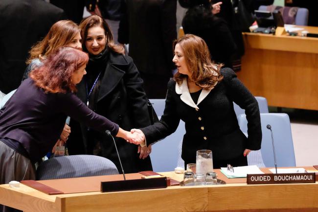 FEATURE: A conversation with female ambassadors about the UN Security Council