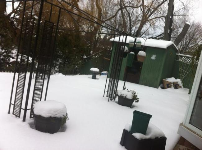 Toronto hit by the first severe winter snow storm