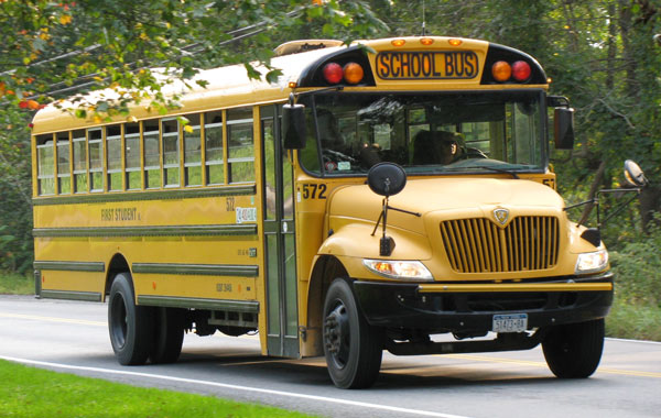 Ombudsman to probe school bus chaos