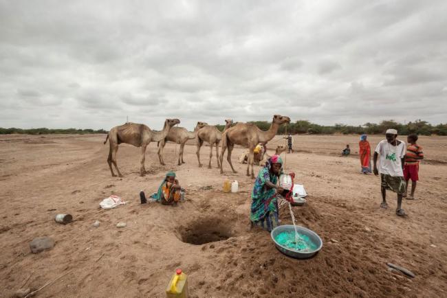  Somalia: UN calls for urgent action to support drought-hit communities