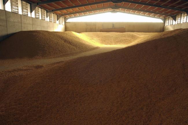 Global food prices rose in June; wheat harvest outlook robust â€“ UN agency