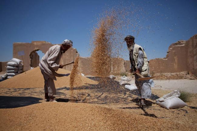 Global food prices down slightly in July â€“ UN agency
