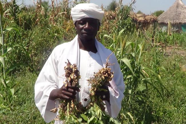 Sudan: Two UN agencies team up to help smallholder farmers, promote food security