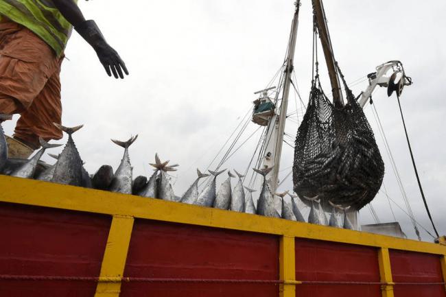 UN agency urges implementation of accord to tackle illegal fishing