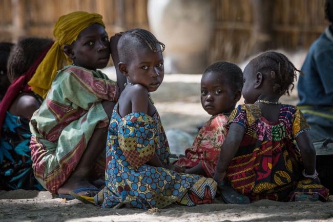  Lake Chad Basin: Boko Haram-induced crisis is â€˜childrenâ€™s crisis,â€™ UNICEF warns