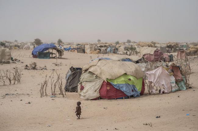 UN food relief agency to double aid to Nigerâ€™s conflict-torn Diffa region