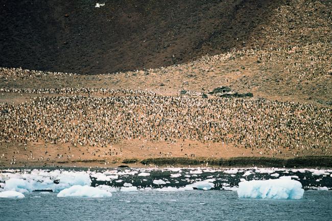 Landmark accord agreed on world's largest marine sanctuary for Antarctica's Ross Sea â€“ UN