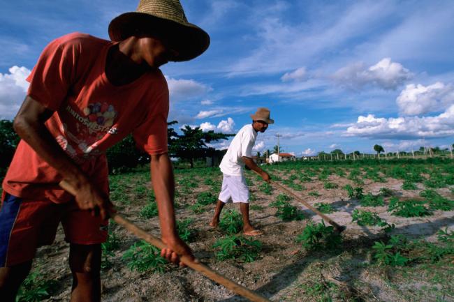  UN report reveals stark gap between urban and rural employment in Latin America and the Caribbean