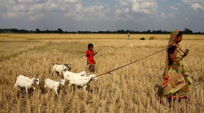 Billions needed to eradicate poverty and hunger: IFAD
