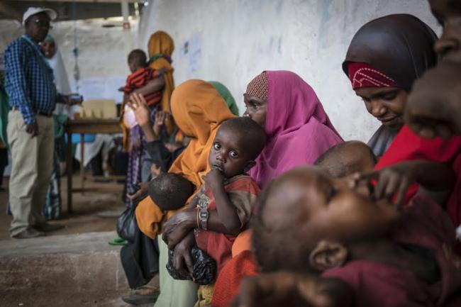 UN food agencies urge Governments to step up food action in African countries facing famine