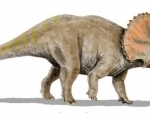 Canada: Scientists propose new classification system of dinosaur family tree