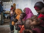 UN food agencies urge Governments to step up food action in African countries facing famine