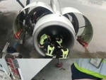 China: Elderly woman throws coin into jet engine, delays flight