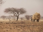 Security Council considers measures to support regional force in the Sahel