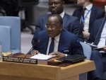 Unified action needed in Central Africa to defuse regional tensions, Security Council told