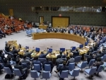 Security Council extends mandate of UN peacekeeping force in Cyprus