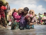 Thousands of Rohingya refugees stranded near Bangladesh-Myanmar border â€“ UN 
