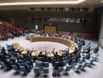 Security Council renews steps against illicit Libyan oil exports; renews missions in Golan, Mali, Darfur