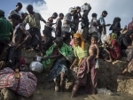 Myanmar can draw on UN expertise in tackling Rohingya returns, Security Council told