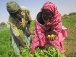  Mauritania aims to boost food production through new UN agency agreement