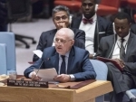 Illegal armed groups pose 'persistent threat' to Africa's Great Lakes region â€“ UN envoy
