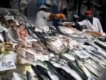 Guidelines on keeping illegally caught fish from global supply chains near â€˜finish lineâ€™ â€“ UN agency