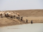 UN urges 'reboot' of drought responses to focus more on preparedness