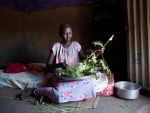Harvest season provides meagre respite to South Sudanâ€™s ongoing hunger crisis