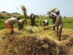 Global food prices up in January; cereal prices keep rising despite improved supplies â€“ UN