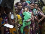 Half a million Rohingya arrive in Bangladesh; UN agencies rush to provide shelter, clean water