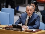 International efforts towards Middle East peace must be matched by steps on the ground â€“ UN envoy