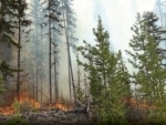 Wildfire scorches more than five lakh hectares in British Columbia
