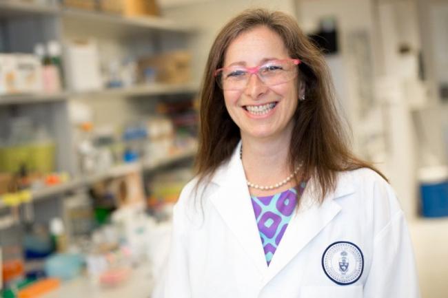 Molly Shoichet is appointed as Ontario's first chief scientist