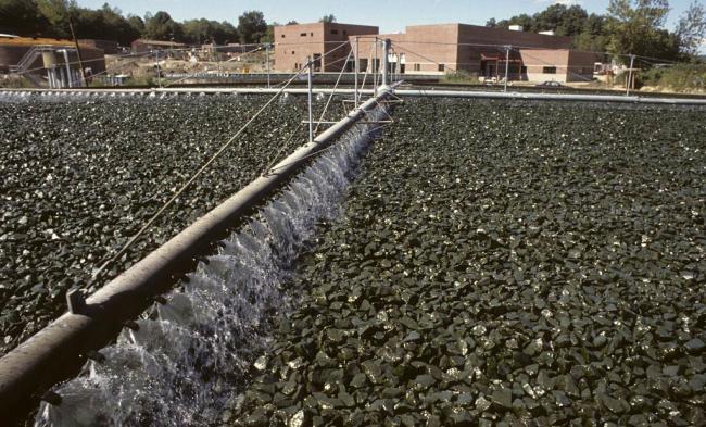 UN agency eyes recycling wastewater for large-scale farming